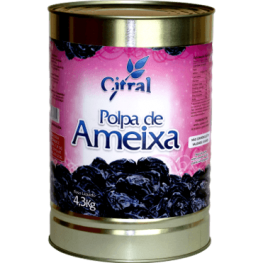 Polpa de ameixa 4,3 kg 