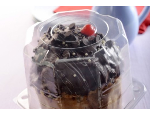 Embalagem g 33 panettone 500g