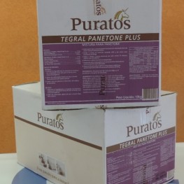 Misura panettone plus 10 kg 